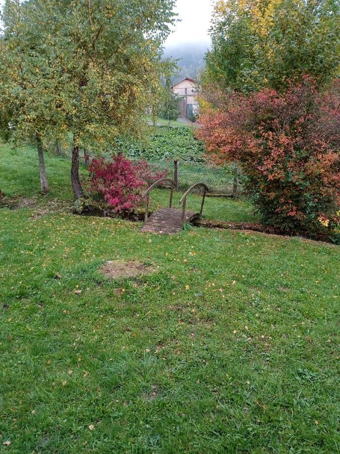 Chalet Familou, Nature Et Tranquilite Anould 外观 照片